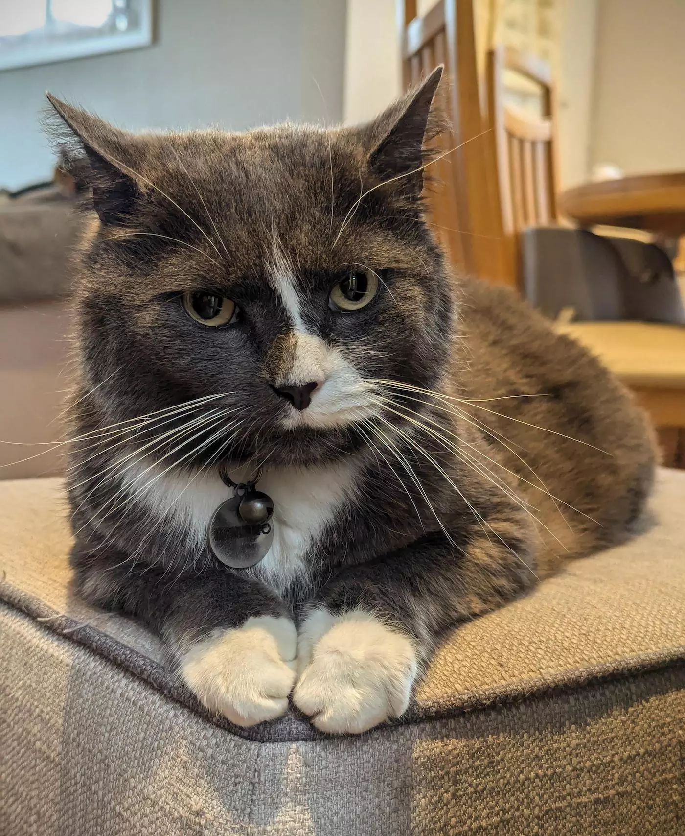 My last photo of Kamino, Sunday